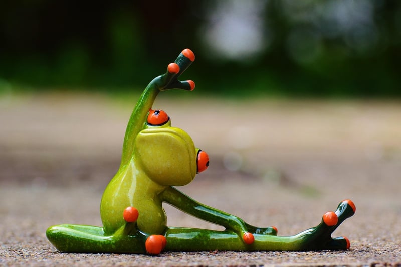 Biodanza